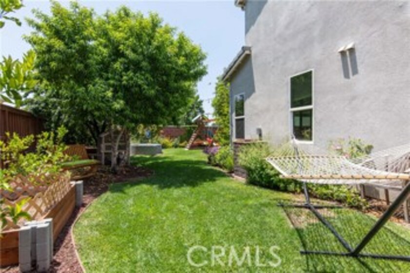 30503 Lily Pond Photo